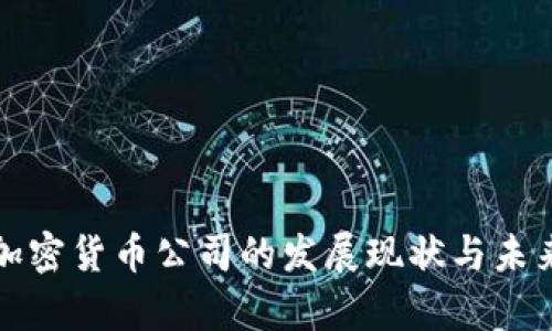 央行加密货币公司的发展现状与未来前景