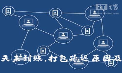 TP钱包转账两天未到账，打包延迟原因及处理方法详解