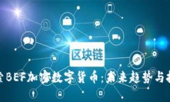 深入探索BEF加密数字货币