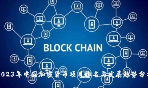 2023年中国加密货币项目排名与发展趋势分析