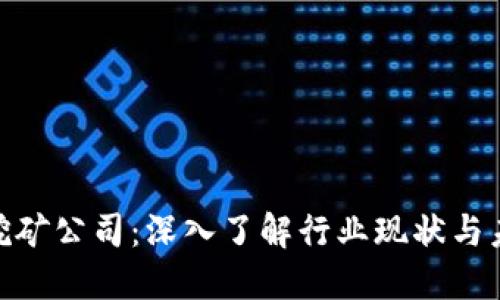 : 加密货币挖矿公司：深入了解行业现状与未来发展趋势