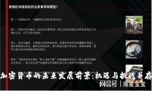 加密货币的未来发展前景：机遇与挑战并存