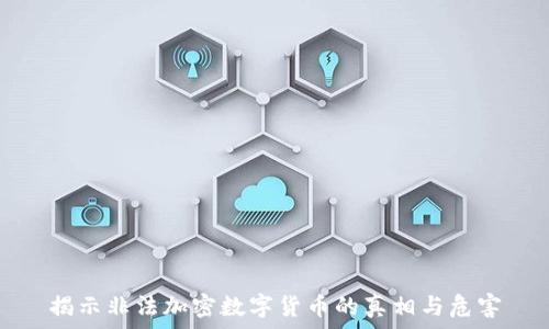   
揭示非法加密数字货币的真相与危害
