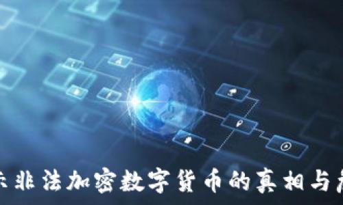   
揭示非法加密数字货币的真相与危害