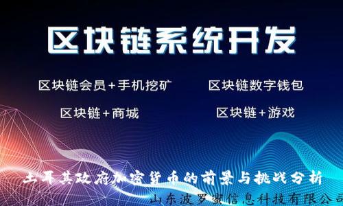 土耳其政府加密货币的前景与挑战分析