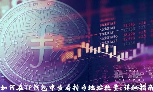 
如何在TP钱包中查看持币地址数量：详细指南