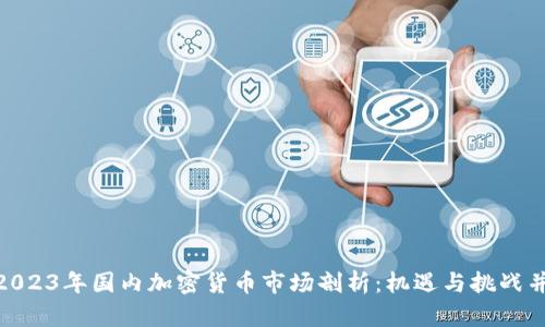 : 2023年国内加密货币市场剖析：机遇与挑战并存