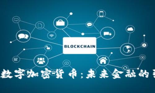  美元数字加密货币：未来金融的引领者