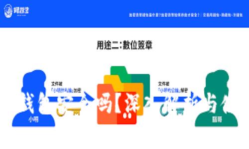 手机充值TP钱包安全吗？深入解析与使用注意事项