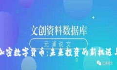 朝阳加密数字货币：未来