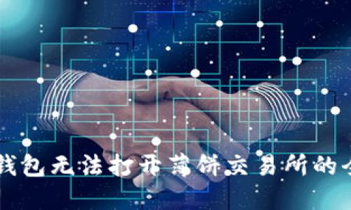 解决TP钱包无法打开薄饼交易所的全面指南