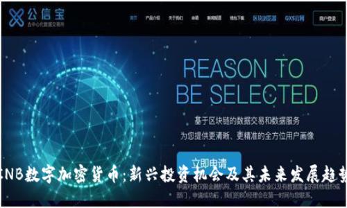 CNB数字加密货币：新兴投资机会及其未来发展趋势