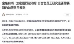 深入探讨BIS加密货币：未