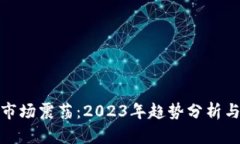 加密货币市场震荡：2023年