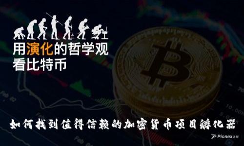 如何找到值得信赖的加密货币项目孵化器