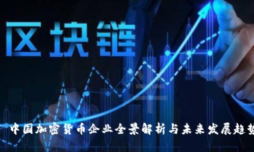 : 中国加密货币企业全景解析与未来发展趋势