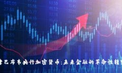 津巴布韦央行加密货币：