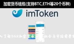 深入了解BNX加密货币：投