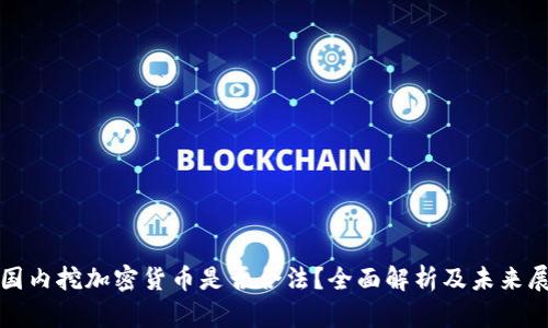 在国内挖加密货币是否合法？全面解析及未来展望