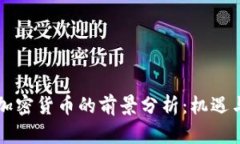 中国加密货币的前景分析