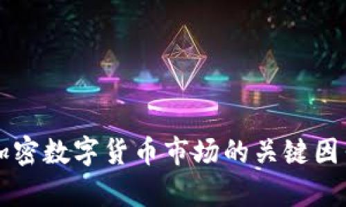 影响加密数字货币市场的关键因素分析