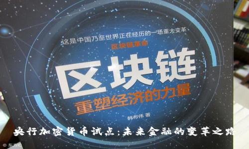 央行加密货币试点：未来金融的变革之路