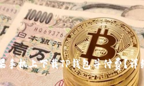 如何在苹果手机上下载TP钱包并付费？详细步骤解析