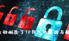 手机自动删除了TP钱包的
