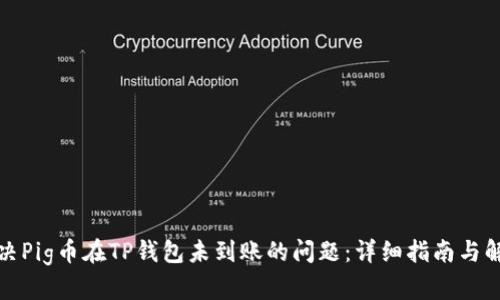 如何解决Pig币在TP钱包未到账的问题：详细指南与解决方案