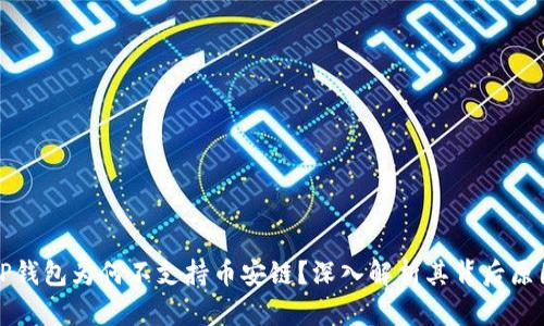 TP钱包为何不支持币安链？深入解析其背后原因