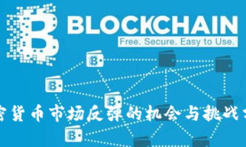 加密货币市场反弹的机会与挑战分析