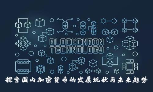 探索国内加密货币的发展现状与未来趋势