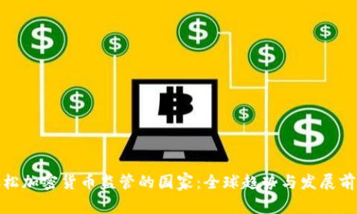 放松加密货币监管的国家：全球趋势与发展前景