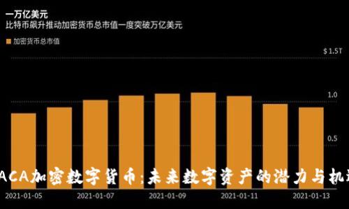 RACA加密数字货币：未来数字资产的潜力与机遇