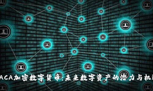 RACA加密数字货币：未来数字资产的潜力与机遇