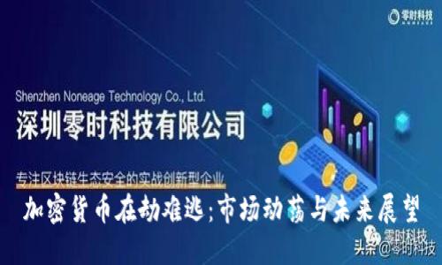 加密货币在劫难逃：市场动荡与未来展望