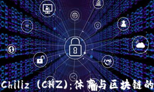 
深入了解Chiliz (CHZ)：体育与区块链的完美结合