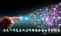  丢失TP钱包后的应对措施