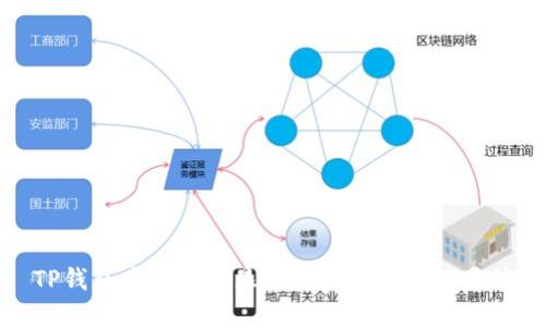 TP钱包中币种不显示的原因及解决方法