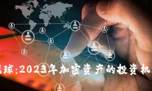 加密货币涨幅球：2023年加密资产的投资机遇与风险分析