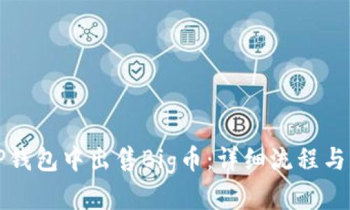 如何在TP钱包中出售Big币：详细流程与实用技巧