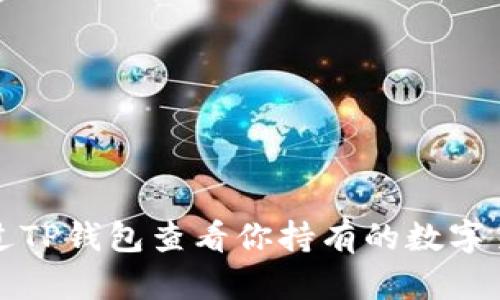 如何通过TP钱包查看你持有的数字货币资产