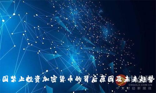 : 韩国禁止投资加密货币的背后原因及未来趋势分析