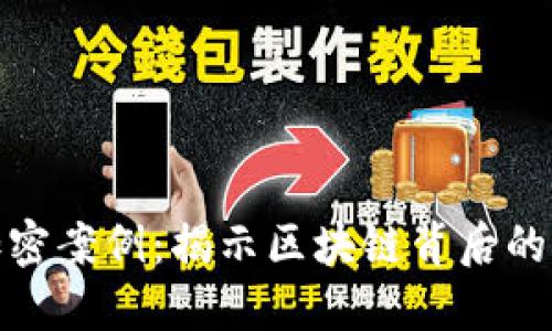 数字货币加密案例：揭示区块链背后的创新与挑战