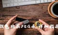如何通过TP钱包购买FEG币：