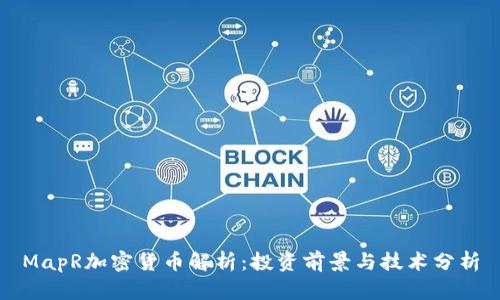 MapR加密货币解析：投资前景与技术分析