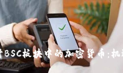 深入探讨BSC板块中的加密货币：机遇与挑战