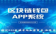深入探讨BSC板块中的加密