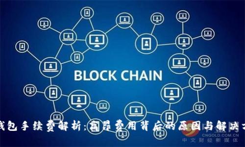 TP钱包手续费解析：高昂费用背后的原因与解决方案