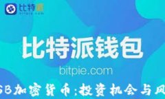 探秘WSB加密货币：投资机